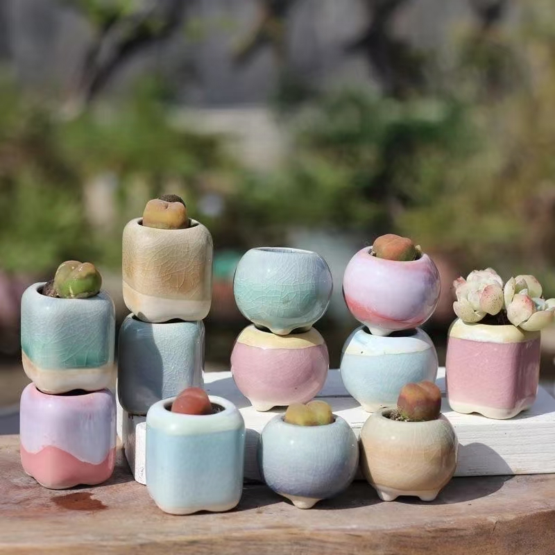 6Pcs Mini Flowerpot Succulents - огляд і ціна 3D Printing Pot