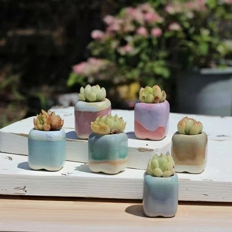 6Pcs Mini Flowerpot Succulents - огляд і ціна 3D Printing Pot